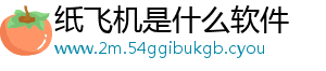 支持系统-纸飞机是什么软件